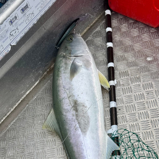 220mm RUKU 'SLIMY MACKEREL' DIVER