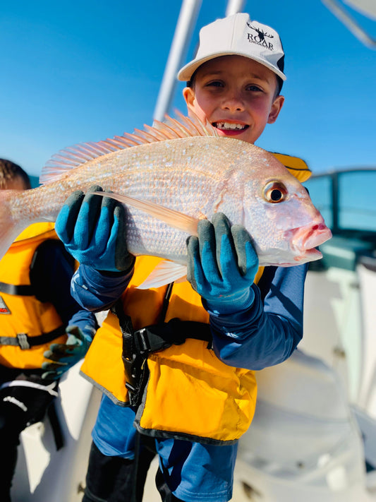 SNAPPER (Pagrus aurtus)