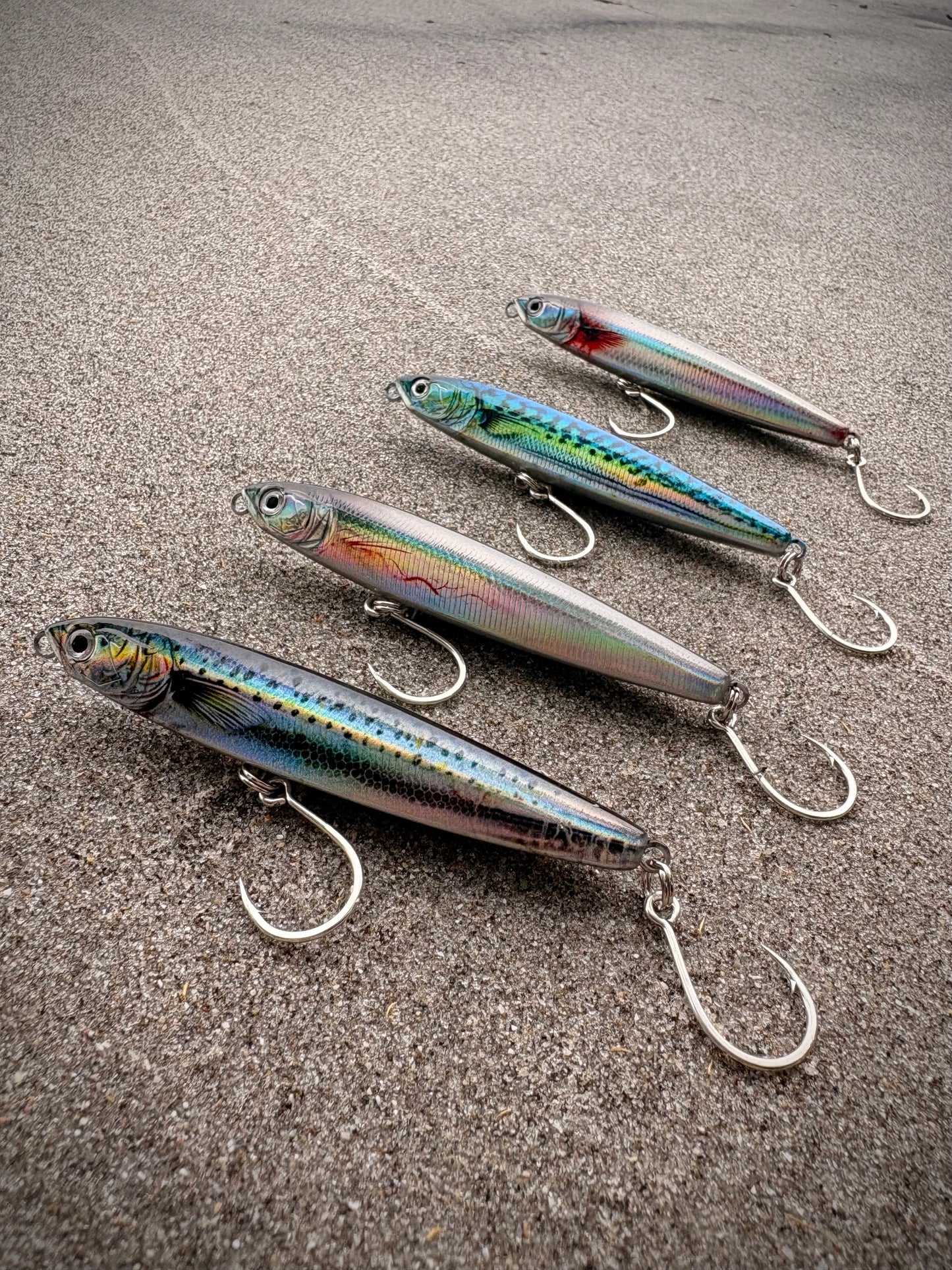 OOSH SIVA 'BAITBALL' (all four species)