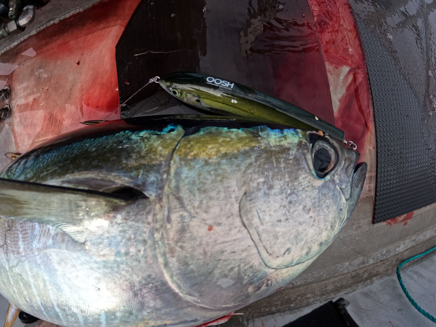 225mm/140gram 'KOHERU' HAKU STICK BAIT -